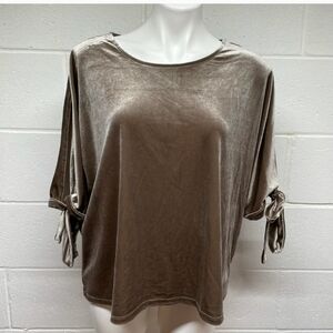 Simply Styled Tan Velvet Top